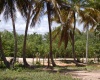 land for sale, waterfront, uvero alto, puntacana, bavaro, frente a la playa,  se vende, tierra, lote de terreno, dominican republic, republica dominicana.