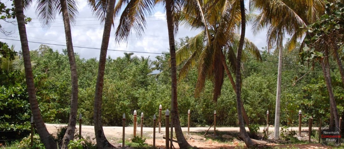 land for sale, waterfront, uvero alto, puntacana, bavaro, frente a la playa,  se vende, tierra, lote de terreno, dominican republic, republica dominicana.