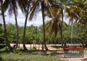 land for sale, waterfront, uvero alto, puntacana, bavaro, frente a la playa,  se vende, tierra, lote de terreno, dominican republic, republica dominicana.