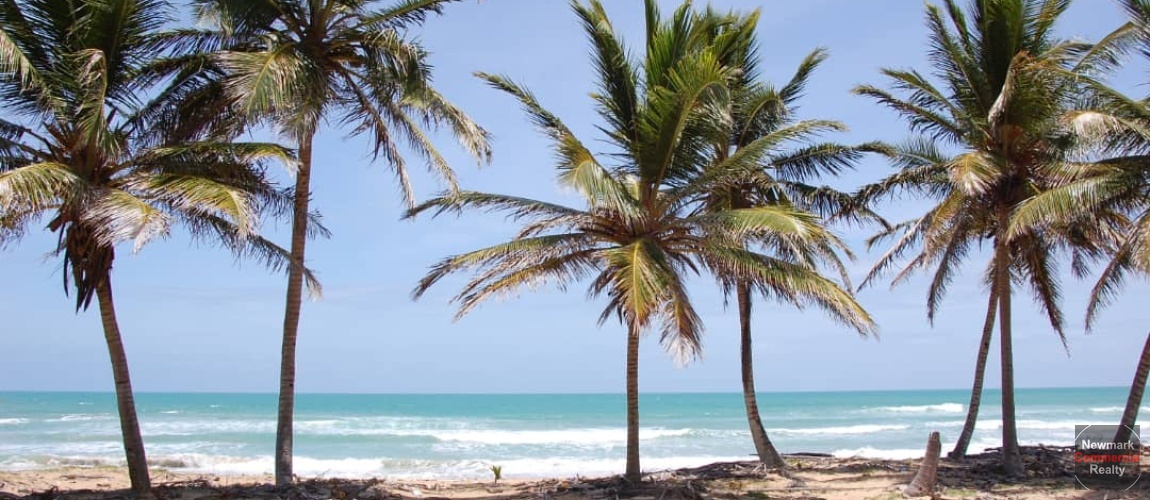 land for sale, waterfront, uvero alto, puntacana, bavaro, frente a la playa,  se vende, tierra, lote de terreno, dominican republic, republica dominicana.