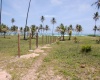 land for sale, waterfront, uvero alto, puntacana, bavaro, frente a la playa,  se vende, tierra, lote de terreno, dominican republic, republica dominicana.