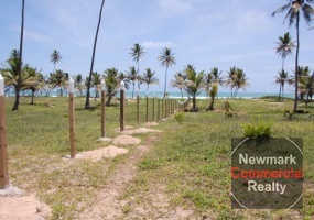 land for sale, waterfront, uvero alto, puntacana, bavaro, frente a la playa,  se vende, tierra, lote de terreno, dominican republic, republica dominicana.