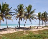 land for sale, waterfront, uvero alto, puntacana, bavaro, frente a la playa,  se vende, tierra, lote de terreno, dominican republic, republica dominicana.