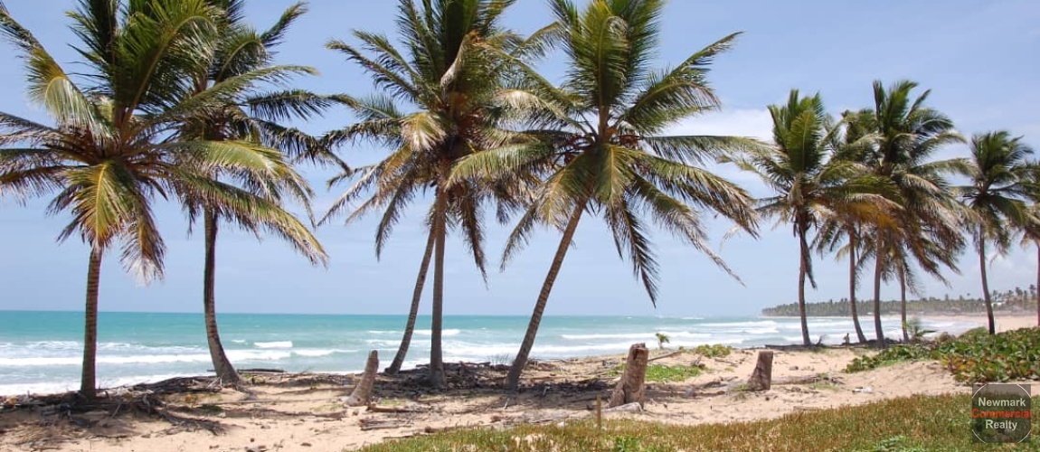 land for sale, waterfront, uvero alto, puntacana, bavaro, frente a la playa,  se vende, tierra, lote de terreno, dominican republic, republica dominicana.