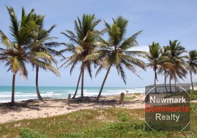 land for sale, waterfront, uvero alto, puntacana, bavaro, frente a la playa,  se vende, tierra, lote de terreno, dominican republic, republica dominicana.