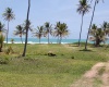 land for sale, waterfront, uvero alto, puntacana, bavaro, frente a la playa,  se vende, tierra, lote de terreno, dominican republic, republica dominicana.