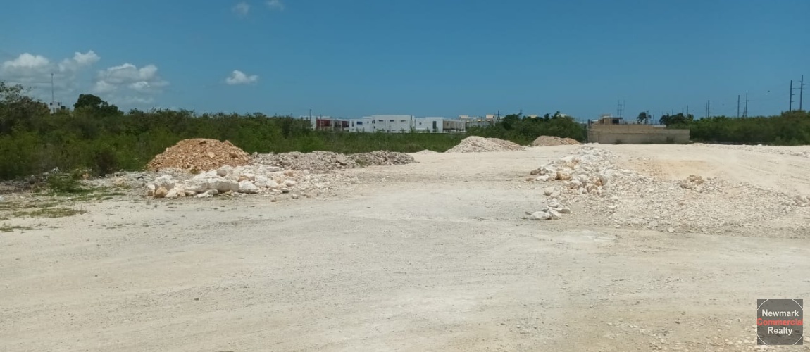 solo naves, nave industrial en alquiler, nave industrial en venta, galpon, almacen, bodega, santo domingo este, almacenes en alquiler, terrenos industriales, bodega, warehouse for sale, warehouse for lease, rent, industrial land, alquiler naves industriales, solo naves y solares, free zones, almacén, zona franca, frigorífico, built to suit, docks, industrial park, industrial property for sale and lease, industrial warehouse, naves industriales santo domingo, naves industriales santiago, almacenes en alquiler santo domingo, herrera, industrial land, terreno industrial, industrial park, parque industrial, manoguayabo, luperon, pantoja, autopista duarte, haina, villa juana, autopista las américas, zona franca san isidro, la romana, santiago, villa mella, puerto plata, boca chica, piisa, caucedo, bávaro, puntacana, mercado libre, remax, commercial real estate santo domingo, comercial real estate dominican republic, commercial real estate santiago, bienes raíces comercial santo domingo, bienes raíces comercial república dominicana, puerto plata, san francisco de macorís, san pedro de macorís, bávaro, higuey, off market, asset, investment, investor, interventionist, propiedad para invertir,  newmark commercial realty, Remax, Coldwell Banker, Galpon Comercial, naves industriales RD, alquilo naves industriales, herrera, luperon, manoguayabo, solo naves, propiedades en renta en RD, rent a home in DR 