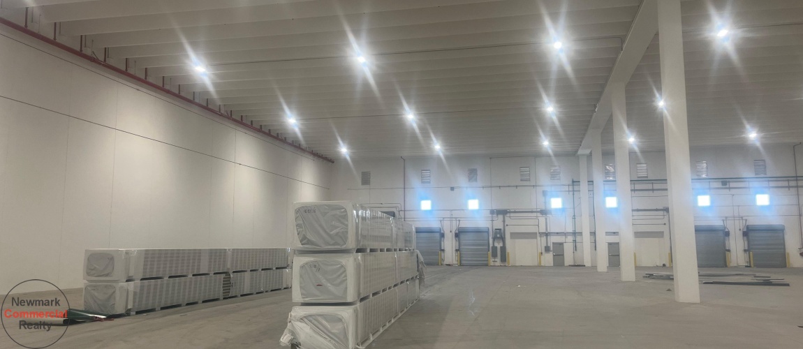 Caucedo port, free trade zone, warehouse space, Dominican Republic
industrial land, bodega, almacen, Santo Domingo, Punta Cana, Santiago, Puerto Plata, Haina port
