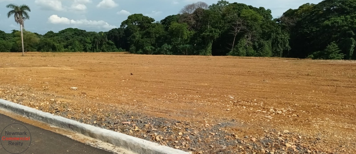 land, terrenos, fincas, lotes de terreno, oceanfront land, terrenos de playa, granja, tierras, business distric, commercial land, terreno comercial, corotos, mercado libre, remax, commercial real estate santo domingo, comercial real estate dominican republic, commercial real estate santiago, bienes raíces comercial santo domingo, bienes raíces comercial república dominicana, puerto plata, san francisco de macorís, san pedro de macorís, bávaro, punta cana, higuey,sosua, cabarete, off the market asset, investment, investor, propiedad para invertir, newmark commercial realty, Remax, Coldwell Banker, Jarabacoa. Bávaro, Puntacana, project, approved permits, venta, land for sale, terreno a la venta, dominican republic, república dominicana, barcelo hotel, puntacana, finca, corotos, mercado libre, remax, commercial real estate santo domingo, comercial real estate dominican republic, commercial real estate santiago, samana, las terrenas, bienes raices comercial santo domingo, bienes raíces comercial república dominicana, puerto plata, san francisco de macorís, san pedro de macorís, bávaro, higuey, off the market asset, investment, investor,  propiedad para invertir, newmark commercial realty, propiedades en alquiler en RD, rent a house in DR