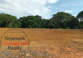 land, terrenos, fincas, lotes de terreno, oceanfront land, terrenos de playa, granja, tierras, business distric, commercial land, terreno comercial, corotos, mercado libre, remax, commercial real estate santo domingo, comercial real estate dominican republic, commercial real estate santiago, bienes raíces comercial santo domingo, bienes raíces comercial república dominicana, puerto plata, san francisco de macorís, san pedro de macorís, bávaro, punta cana, higuey,sosua, cabarete, off the market asset, investment, investor, propiedad para invertir, newmark commercial realty, Remax, Coldwell Banker, Jarabacoa. Bávaro, Puntacana, project, approved permits, venta, land for sale, terreno a la venta, dominican republic, república dominicana, barcelo hotel, puntacana, finca, corotos, mercado libre, remax, commercial real estate santo domingo, comercial real estate dominican republic, commercial real estate santiago, samana, las terrenas, bienes raices comercial santo domingo, bienes raíces comercial república dominicana, puerto plata, san francisco de macorís, san pedro de macorís, bávaro, higuey, off the market asset, investment, investor,  propiedad para invertir, newmark commercial realty, propiedades en alquiler en RD, rent a house in DR