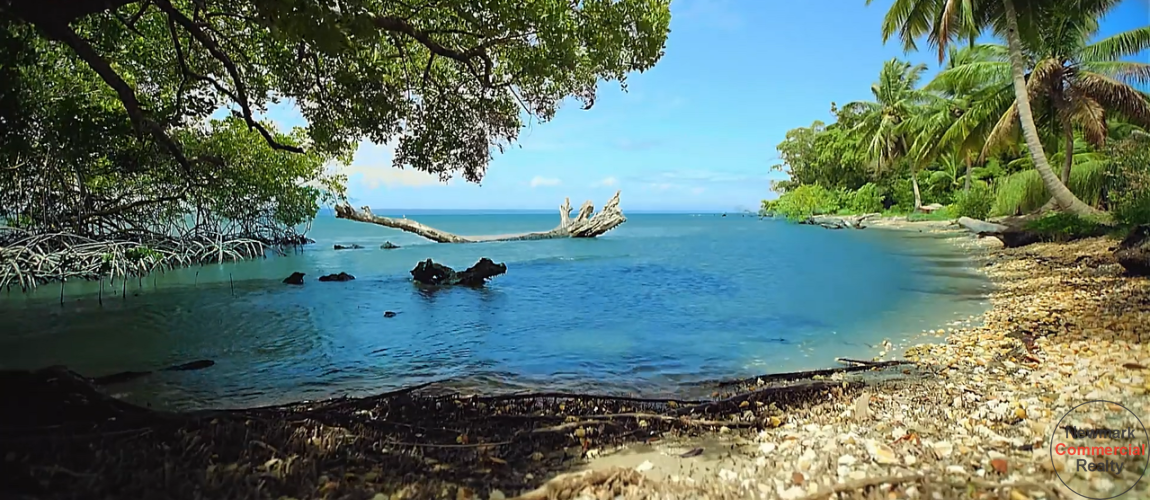  Samana land for sale
beachfront land Dominican Republic
land with private beaches
Dominican Republic real estate
resort development land
villa development Samana
investment property Dominican Republic
land near airstrip DR
Samana beachfront property
Caribbean investment land
terreno en venta Samaná
terreno frente al mar República Dominicana
propiedad con playas privadas
bienes raíces República Dominicana
terreno para resort
desarrollo de villas Samaná
inversión inmobiliaria Caribe
terreno con acceso aéreo
terreno turístico Samaná
oportunidad de inversión RD
