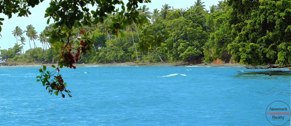  Samana land for sale
beachfront land Dominican Republic
land with private beaches
Dominican Republic real estate
resort development land
villa development Samana
investment property Dominican Republic
land near airstrip DR
Samana beachfront property
Caribbean investment land
terreno en venta Samaná
terreno frente al mar República Dominicana
propiedad con playas privadas
bienes raíces República Dominicana
terreno para resort
desarrollo de villas Samaná
inversión inmobiliaria Caribe
terreno con acceso aéreo
terreno turístico Samaná
oportunidad de inversión RD
