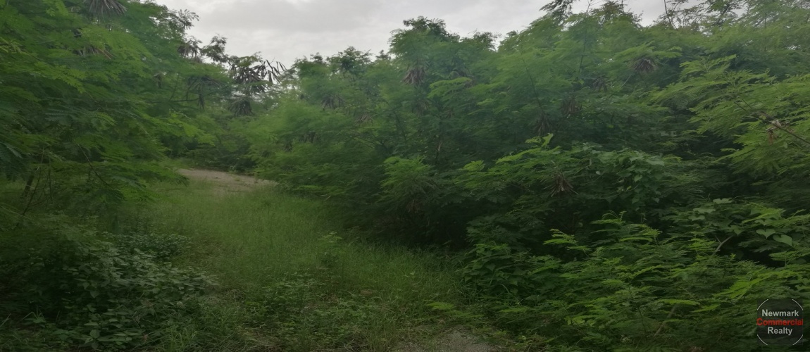 boca chica, land for sale, tierra, waterfront, autopista duarte, santo domingo, dominican republic, lotes, terreno, projecto, project