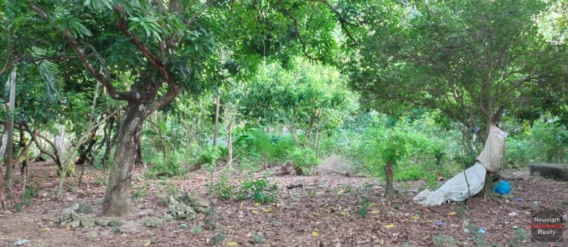 land, terreno, lote, cabrera, ocean front, rio san juan, puerto plata, sosua