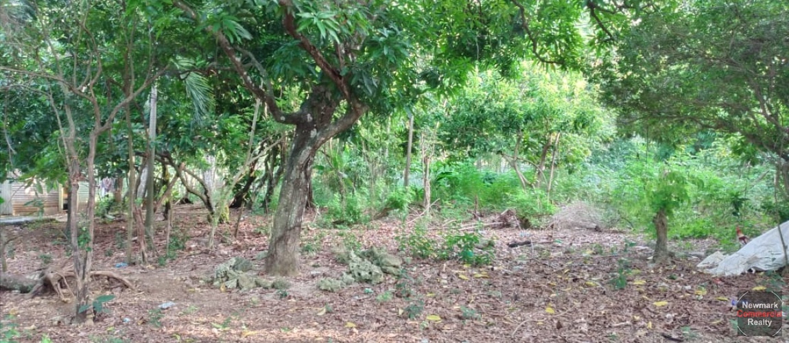 land, terreno, lote, cabrera, ocean front, rio san juan, puerto plata, sosua