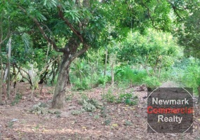 land, terreno, lote, cabrera, ocean front, rio san juan, puerto plata, sosua