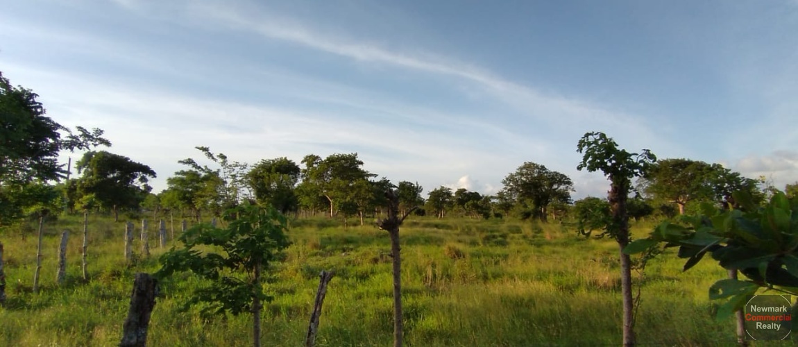 land, terreno, lote, cabrera, ocean front, rio san juan, puerto plata, sosua