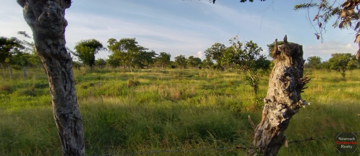 land, terreno, lote, cabrera, ocean front, rio san juan, puerto plata, sosua